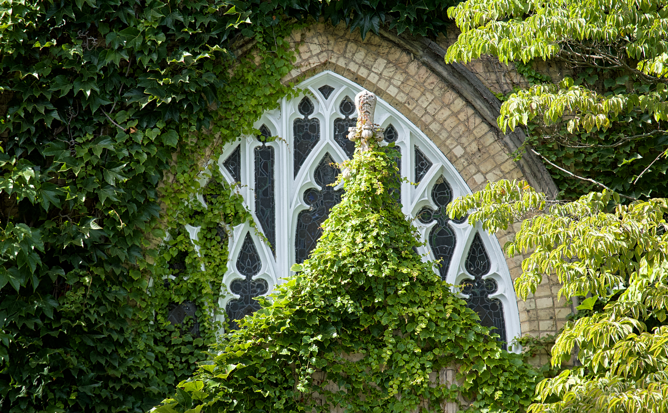 Illustration of a church window, by Wladimir Figueiredo (alt TBC)